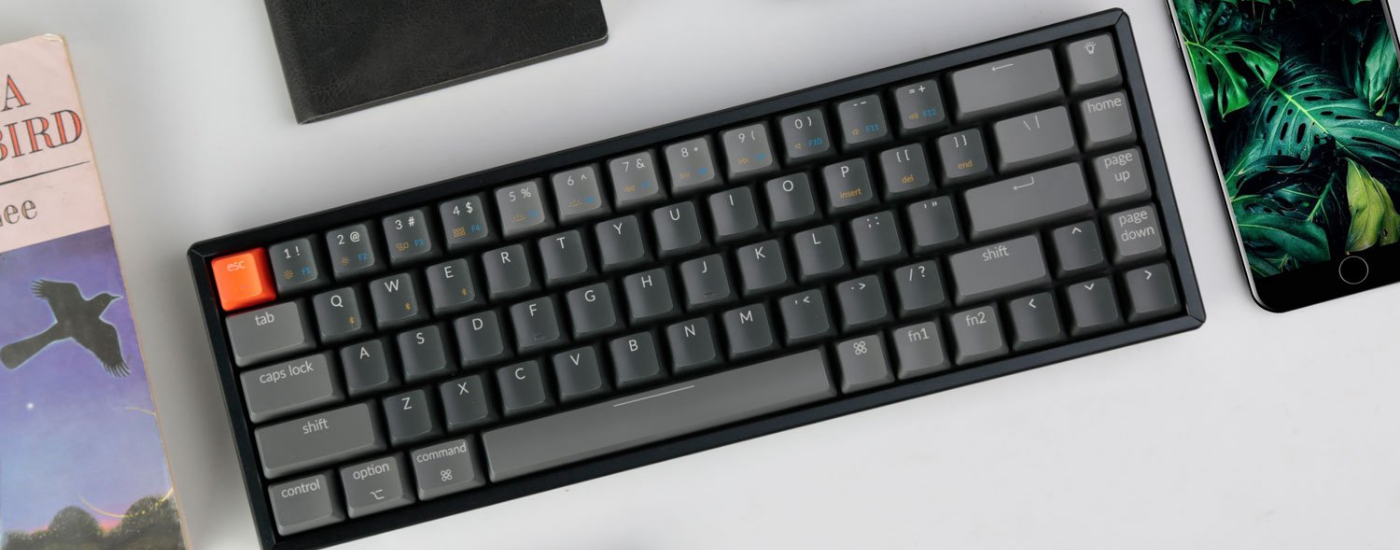 Keychron K6 - Lựa chọn liệu có sáng suốt ?
