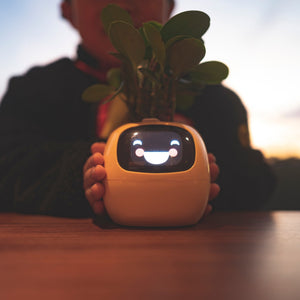 Ivy SmartPlant - Robot Chăm Sóc Cây Thông Minh AI Đa Năng