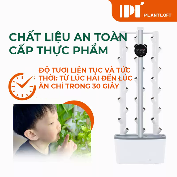 Trồng thủy canh PLANTLOFT - Vườn Thủy Canh Thông Minh Tự Động Cho Gia Đình