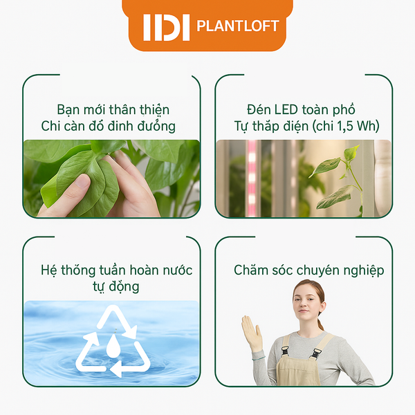 Trồng thủy canh PLANTLOFT - Vườn Thủy Canh Thông Minh Tự Động Cho Gia Đình
