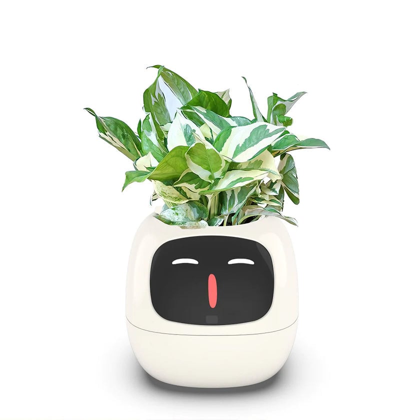 Ivy SmartPlant - Robot Chăm Sóc Cây Thông Minh AI Đa Năng